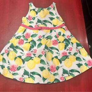 Janie and Jack Lemon and Roses Dress